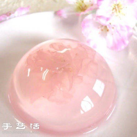 漂亮精致的日本櫻花果凍 -  rpnrmr.com