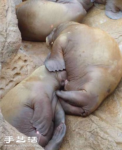逛動(dòng)物園碰到這場(chǎng)景，好尷尬~！ -  rpnrmr.com
