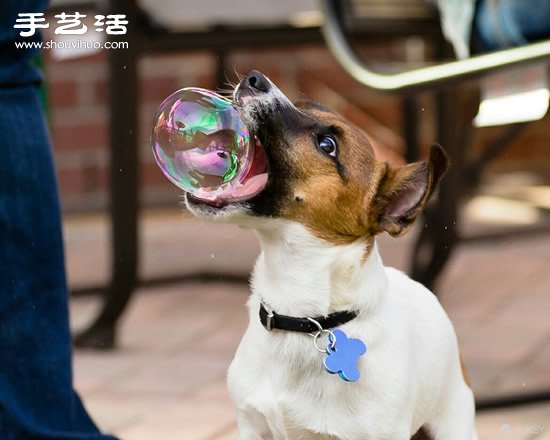 生活中那些充滿趣味的照片~ -  rpnrmr.com