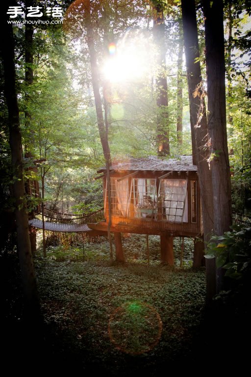 童年幻想的夢幻樹屋 森林中的秘密基地！ -  rpnrmr.com
