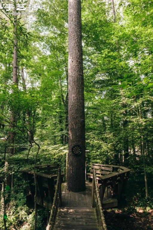 童年幻想的夢幻樹屋 森林中的秘密基地！ -  rpnrmr.com