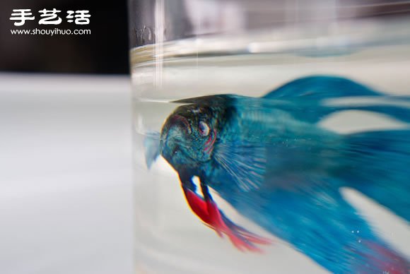 新加坡藝術(shù)家Keng Lye超真實(shí)3D樹酯畫作 -  rpnrmr.com