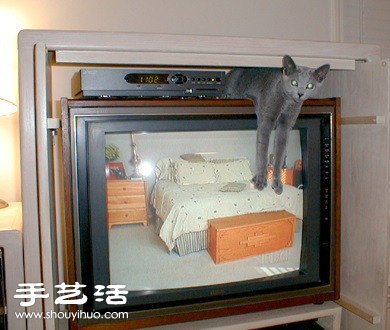 不讓你看～喵星人與電視的爭寵大戰(zhàn) -  rpnrmr.com
