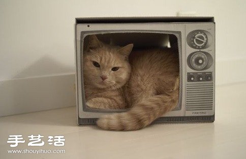 不讓你看～喵星人與電視的爭寵大戰(zhàn) -  rpnrmr.com