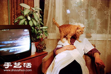 不讓你看～喵星人與電視的爭寵大戰(zhàn) -  rpnrmr.com