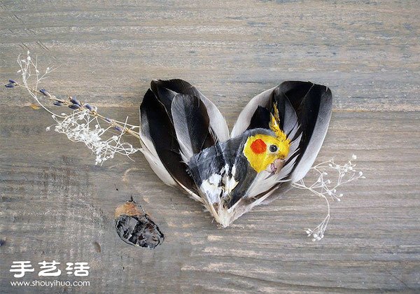 充滿靈魂的印地安風(fēng)格羽毛畫手工藝品 -  rpnrmr.com
