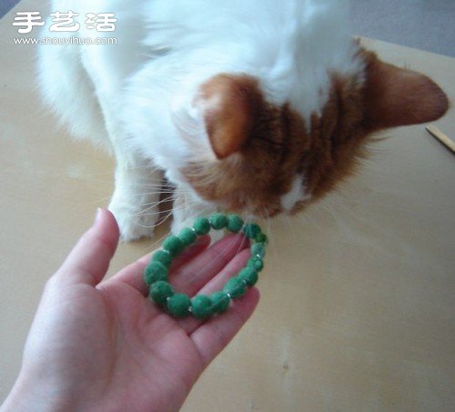 寵物絨毛手工制作漂亮手串手鏈圖解教程 -  rpnrmr.com