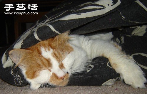 寵物絨毛手工制作漂亮手串手鏈圖解教程 -  rpnrmr.com