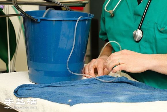 這位主人決定為10歲大的金魚進(jìn)行腦部手術(shù) -  rpnrmr.com