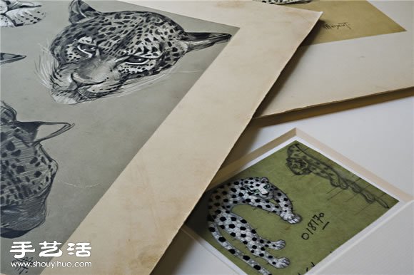 獵豹：卡地亞的代表性圖騰 -  rpnrmr.com