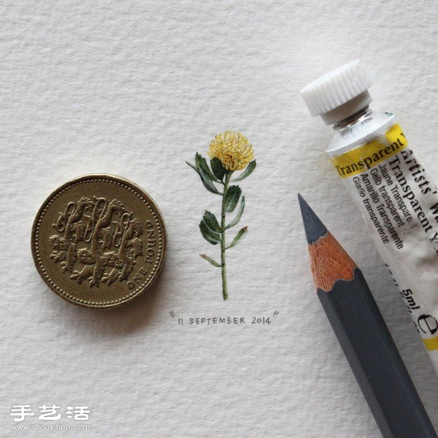 寄給螞蟻的明信片：連續(xù)365天的微插畫 -  rpnrmr.com