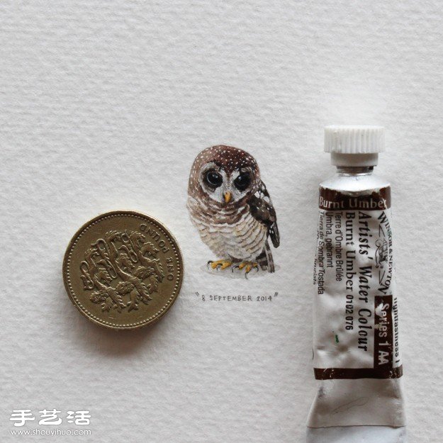 寄給螞蟻的明信片：連續(xù)365天的微插畫 -  rpnrmr.com