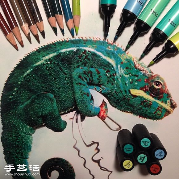 普通畫筆手繪出栩栩如生的動物畫作 -  rpnrmr.com