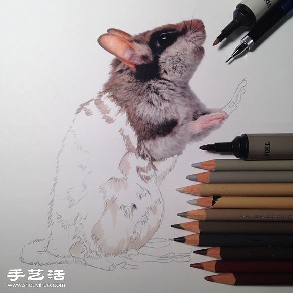 普通畫筆手繪出栩栩如生的動物畫作 -  rpnrmr.com
