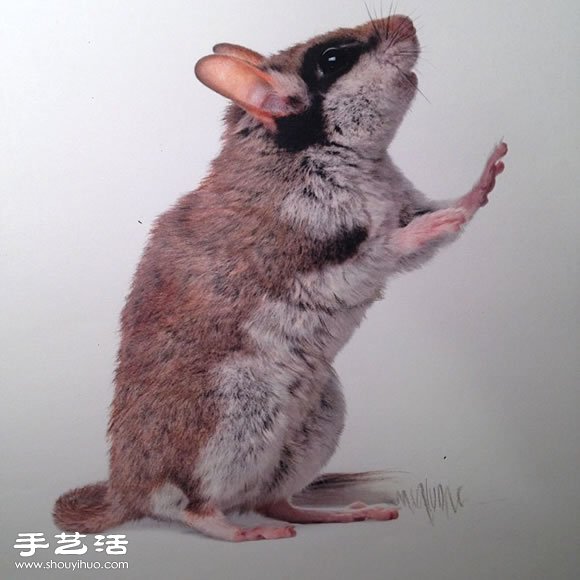 普通畫筆手繪出栩栩如生的動物畫作 -  rpnrmr.com