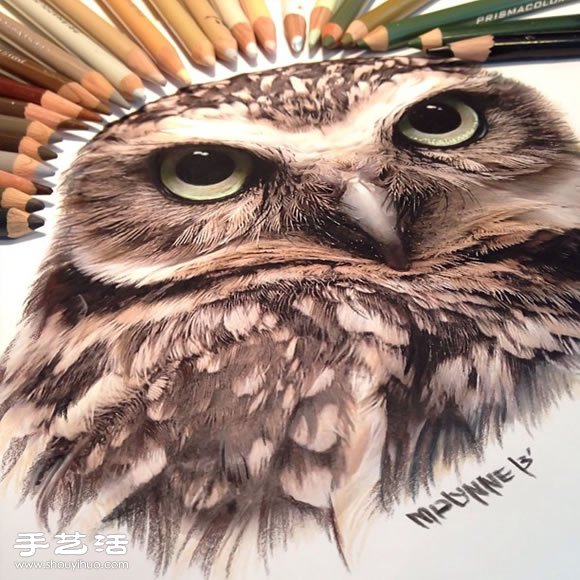 普通畫筆手繪出栩栩如生的動物畫作 -  rpnrmr.com