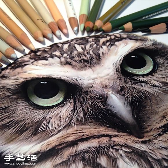 普通畫筆手繪出栩栩如生的動物畫作 -  rpnrmr.com