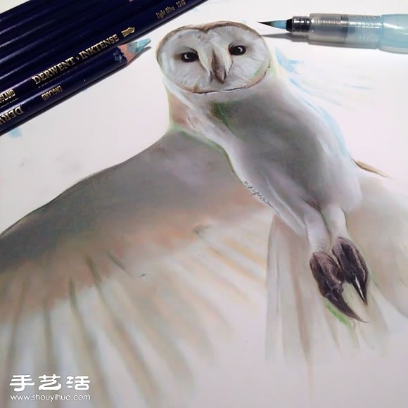 普通畫筆手繪出栩栩如生的動物畫作 -  rpnrmr.com