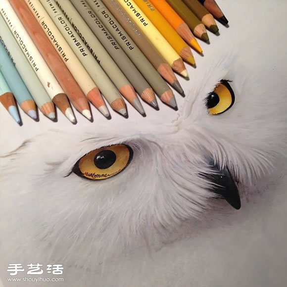 普通畫筆手繪出栩栩如生的動物畫作 -  rpnrmr.com
