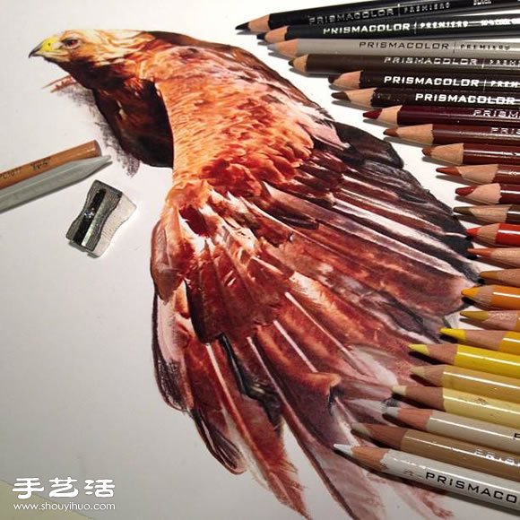 普通畫筆手繪出栩栩如生的動物畫作 -  rpnrmr.com