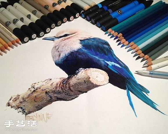 普通畫筆手繪出栩栩如生的動物畫作 -  rpnrmr.com