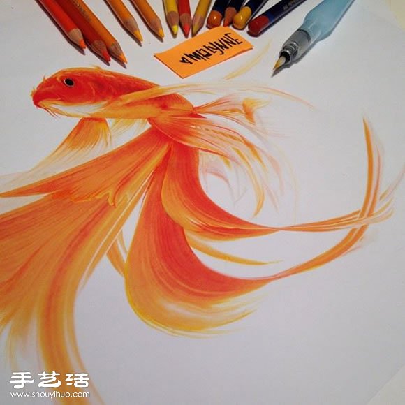 普通畫筆手繪出栩栩如生的動物畫作 -  rpnrmr.com