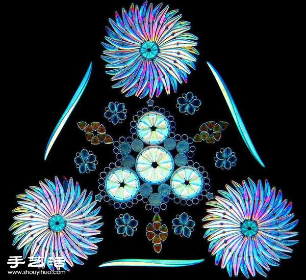 顯微鏡下的絕美 單細胞硅藻排列的視覺藝術(shù) -  rpnrmr.com