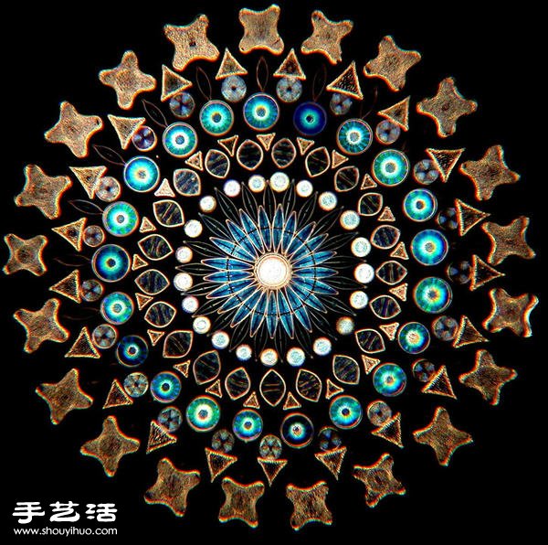 顯微鏡下的絕美 單細胞硅藻排列的視覺藝術(shù) -  rpnrmr.com