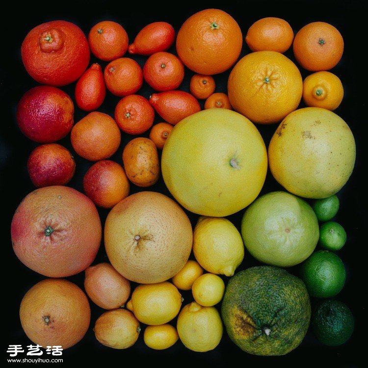 藝術(shù)家們利用各種食材DIY的創(chuàng)意拼貼畫 -  rpnrmr.com