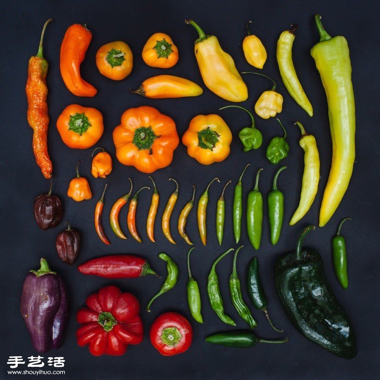 藝術(shù)家們利用各種食材DIY的創(chuàng)意拼貼畫 -  rpnrmr.com