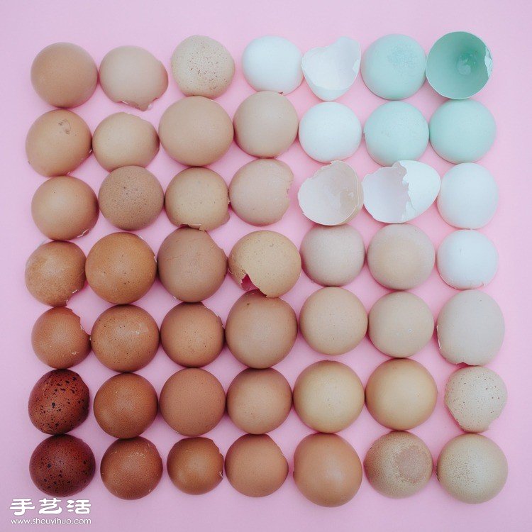 藝術(shù)家們利用各種食材DIY的創(chuàng)意拼貼畫 -  rpnrmr.com