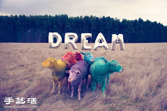奇幻彩色羊攝影 「DREAM SERIES」 -  rpnrmr.com