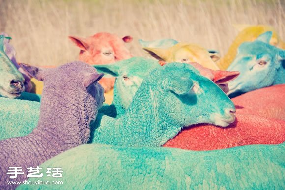 奇幻彩色羊攝影 「DREAM SERIES」 -  rpnrmr.com