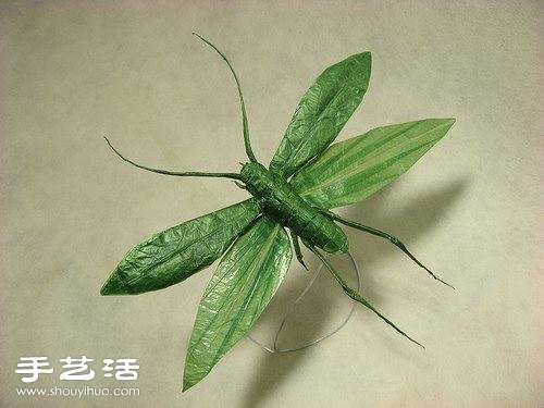 一組非常精致逼真的創(chuàng)意動物折紙作品 -  rpnrmr.com
