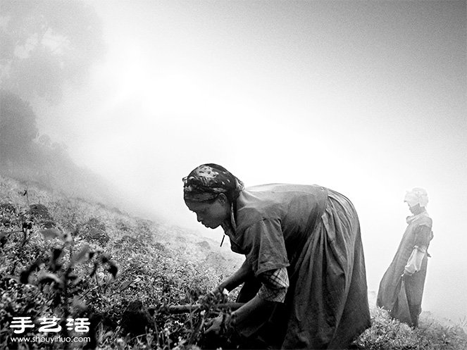 捕捉打動(dòng)人心瞬間 NIKON年度攝影比賽精選 -  rpnrmr.com
