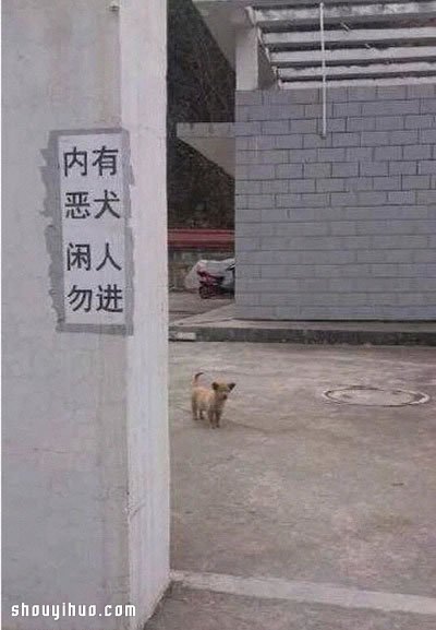 難得一見的8張趣圖 不信點(diǎn)不中你的笑穴！ -  rpnrmr.com
