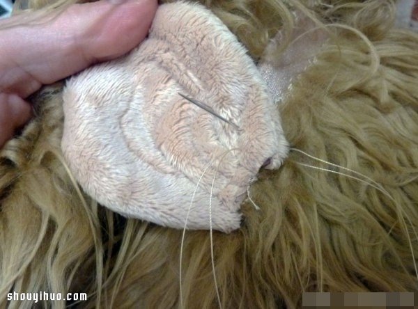 手工DIY獅子鬃毛頭套 讓狗狗變成威武雄獅 -  rpnrmr.com