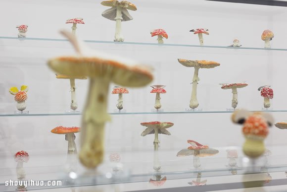 詭異又可愛的巨型蘑菇裝置雕塑作品 -  rpnrmr.com