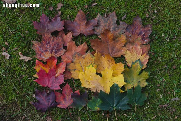 秋日冒險(xiǎn)季 一起來DIY回歸自然的大地藝術(shù) -  rpnrmr.com