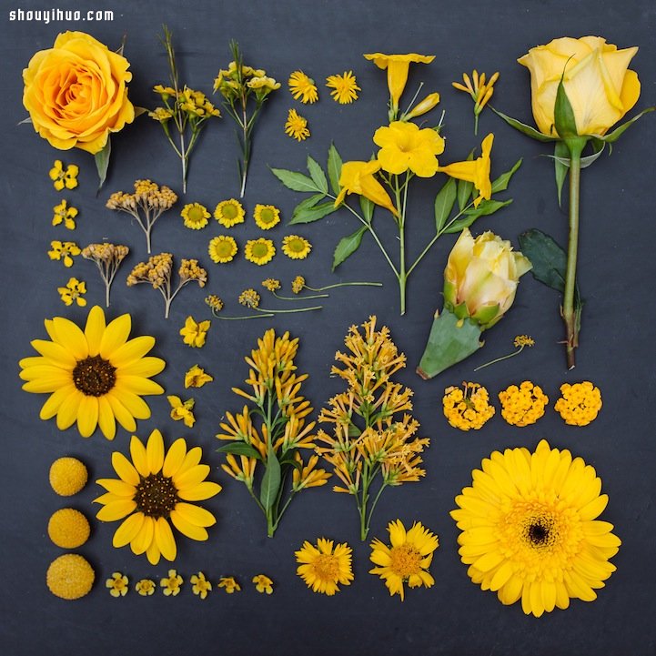 秋日冒險(xiǎn)季 一起來DIY回歸自然的大地藝術(shù) -  rpnrmr.com