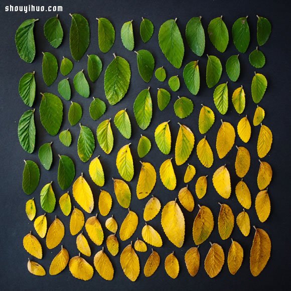 簡單素材依色階排列 DIY精采的創(chuàng)意照片 -  rpnrmr.com