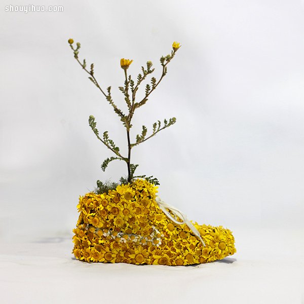NIKE 球鞋創(chuàng)意DIY 變身漂亮小盆栽 -  rpnrmr.com