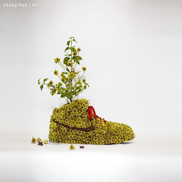 NIKE 球鞋創(chuàng)意DIY 變身漂亮小盆栽 -  rpnrmr.com
