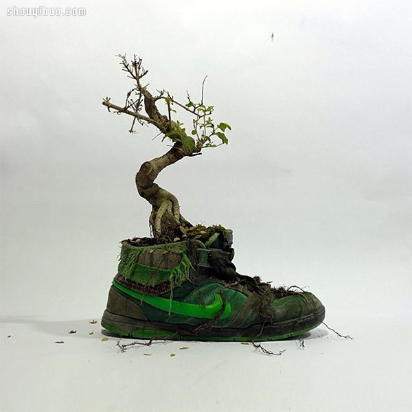 NIKE 球鞋創(chuàng)意DIY 變身漂亮小盆栽 -  rpnrmr.com