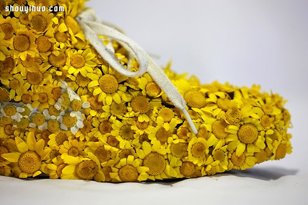 NIKE 球鞋創(chuàng)意DIY 變身漂亮小盆栽 -  rpnrmr.com
