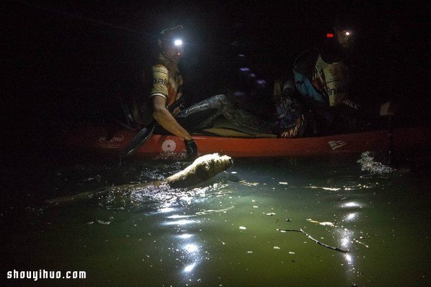 極限運動家遇見流浪狗后發(fā)生的感人故事 -  rpnrmr.com