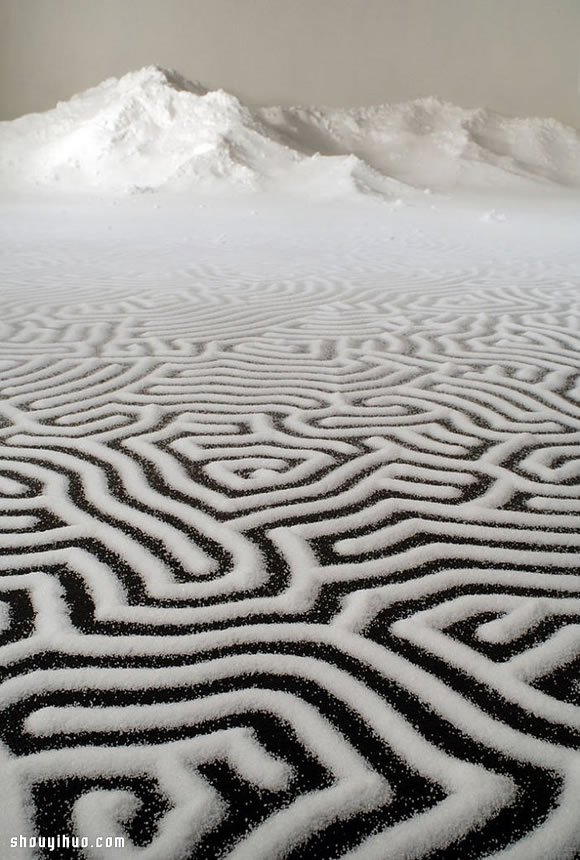 日本藝術(shù)家 Motoi Yamamoto 創(chuàng)意鹽畫 -  rpnrmr.com