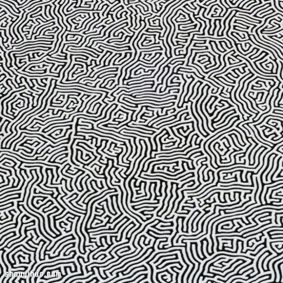 日本藝術(shù)家 Motoi Yamamoto 創(chuàng)意鹽畫 -  rpnrmr.com