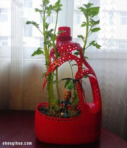 洗衣液瓶塑料瓶變廢為寶手工制作漂亮花盆 -  rpnrmr.com