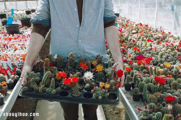 倫敦最大仙人掌園 多肉植物管家Garden Edit -  rpnrmr.com